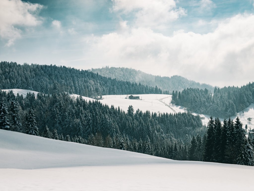Winterlandschaft Sulzberg