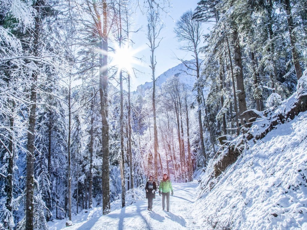 Winterwandern in Schetteregg
